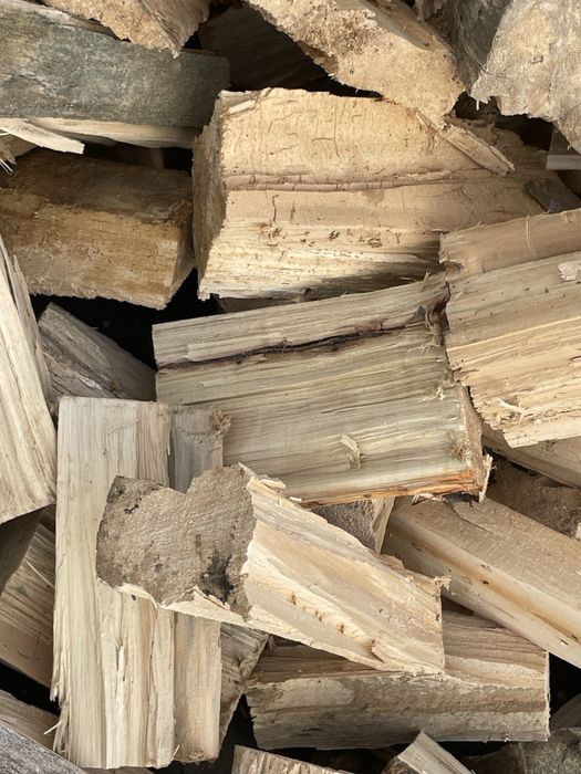 Тополь колатий дрова доставка