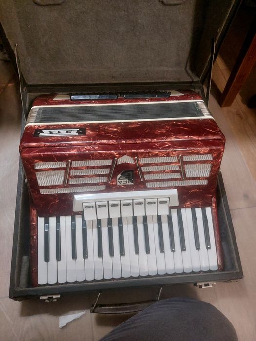 Akordeon flis 80