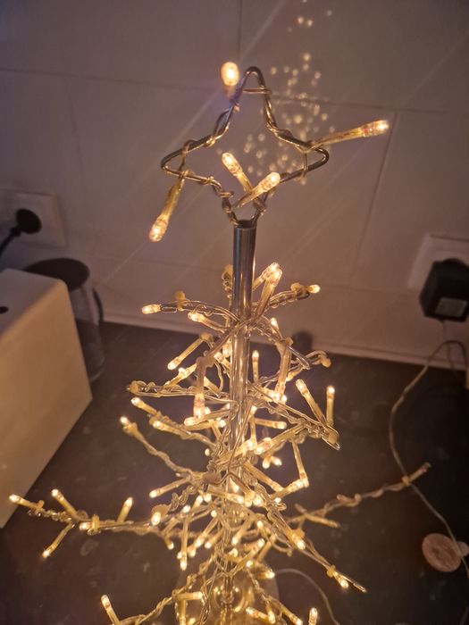 Árvore  Natal Área