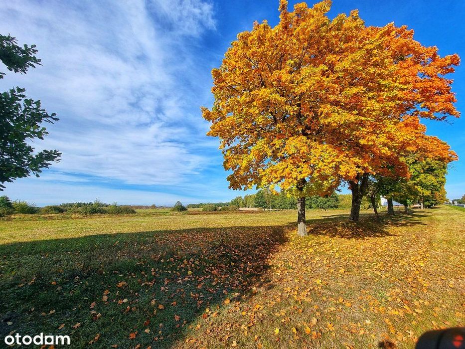 Działka bud| 36,82 ar| War. Zab. | Suszno |Włodawa