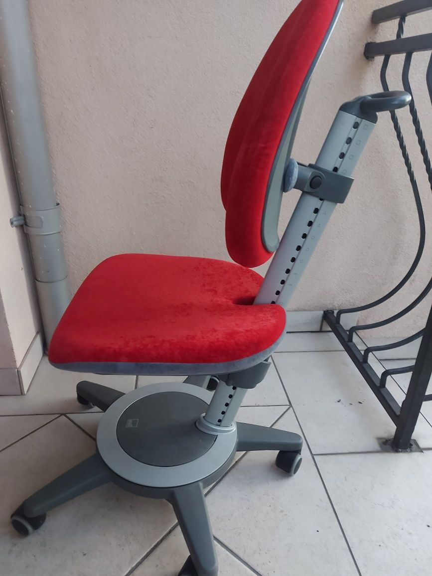 MOLL krzesło do biurka dla dziecka,rośnie,razem z dzieckiem,Nowy model