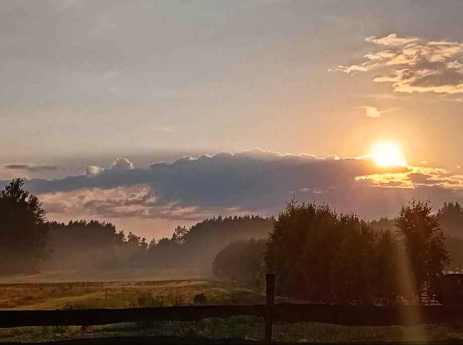 Działki budowlane z mediami blisko lasu