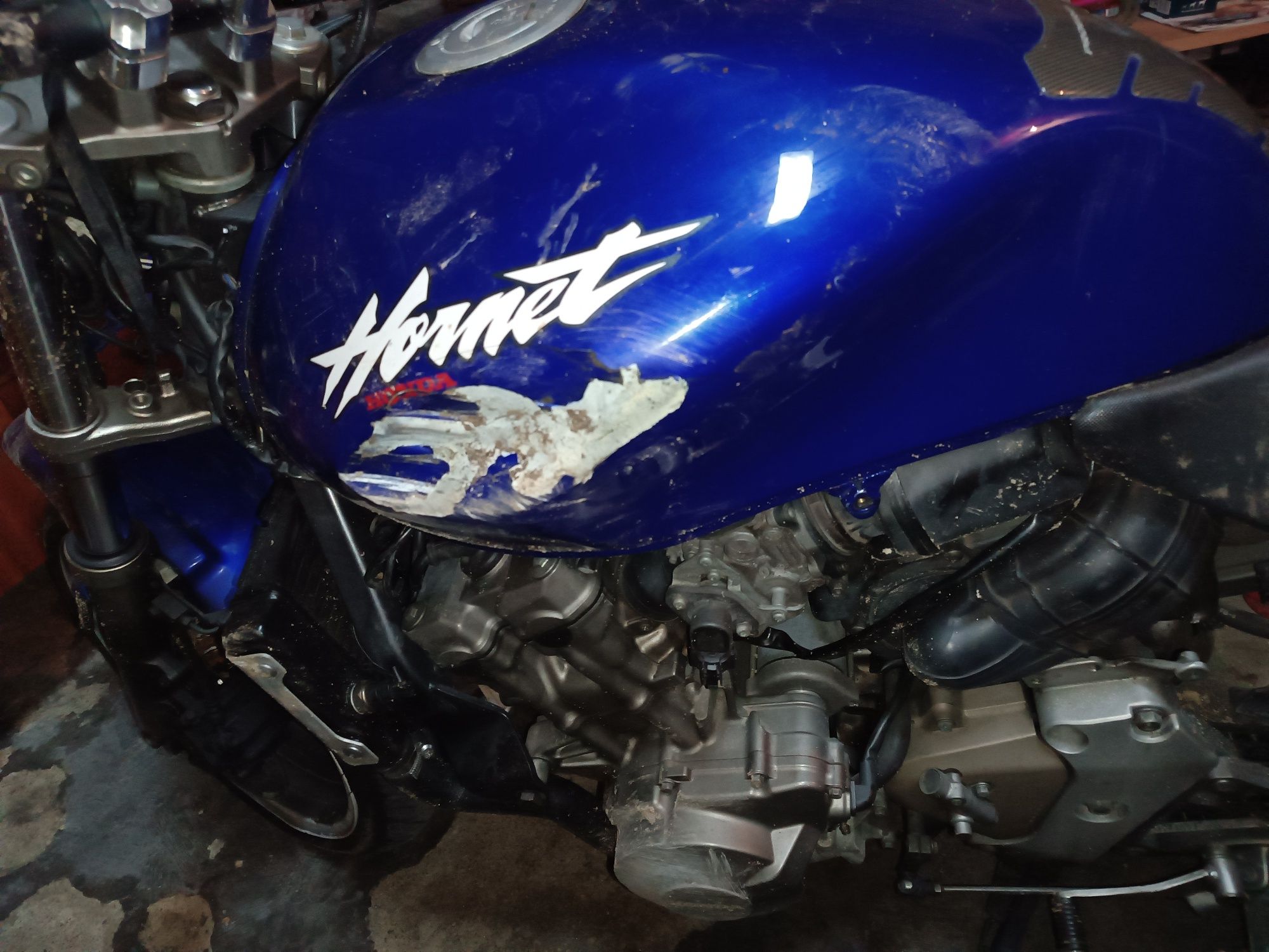 Honda Hornet 600