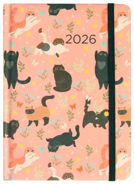 Kalendarz 2026 B6 dzienny, koty. Albi