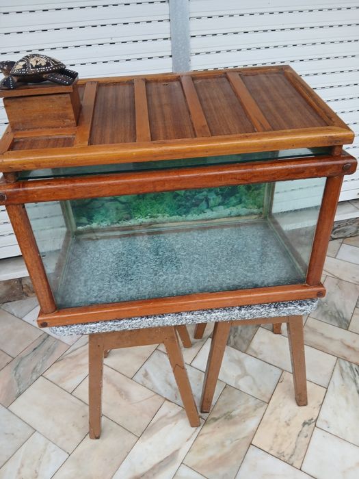 Aquário de 80L, termostato 100w da marinha