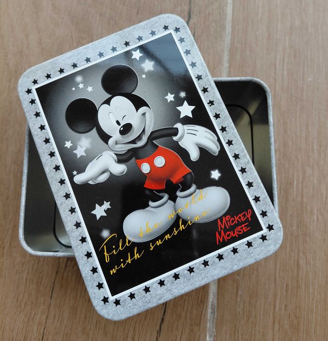 Caixa de arrumação em metal Mikey