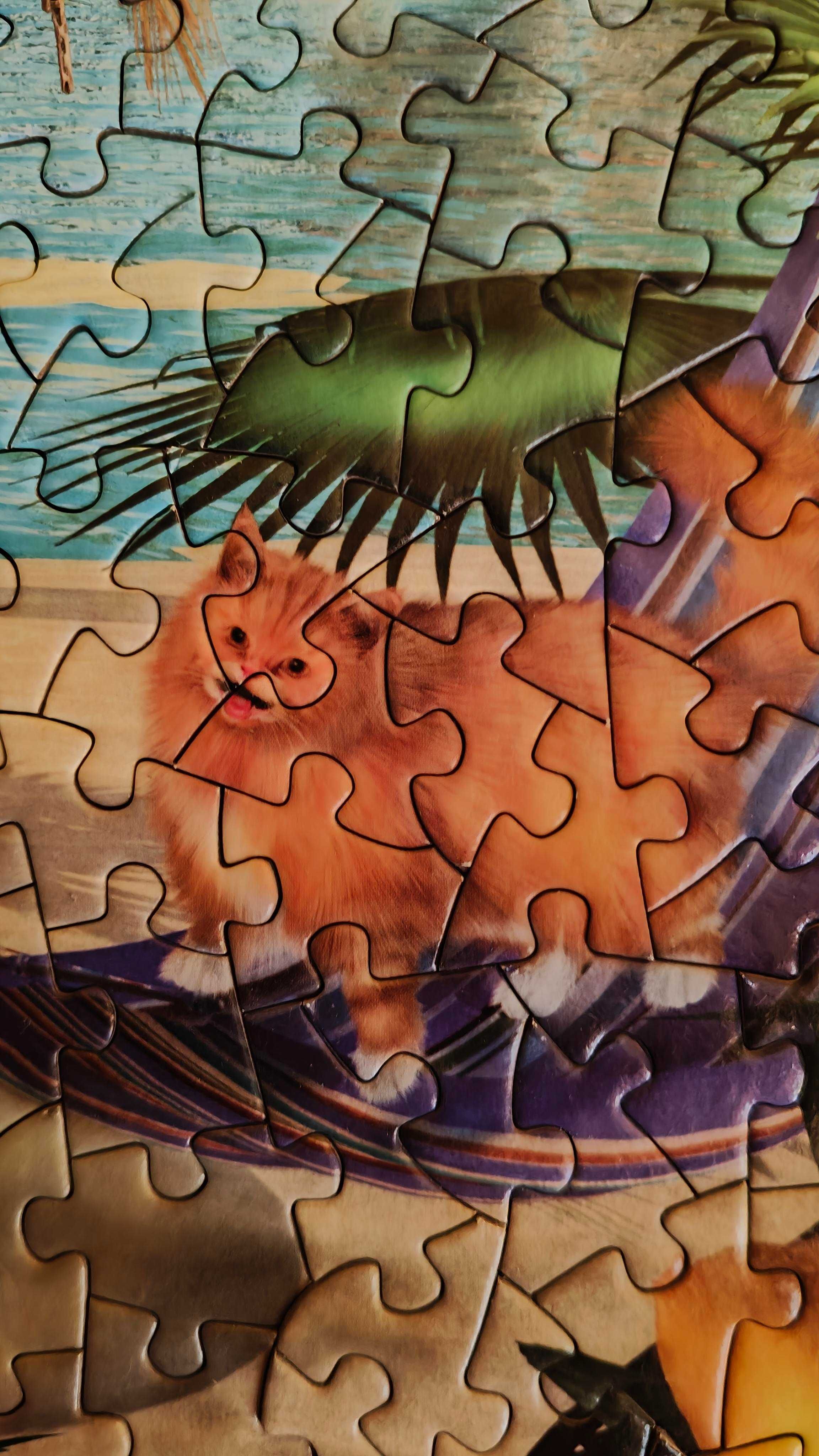 Puzzle  Time To Play 1000