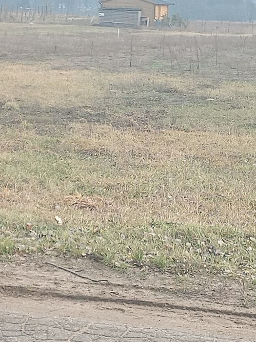 Działki na sprzedaż