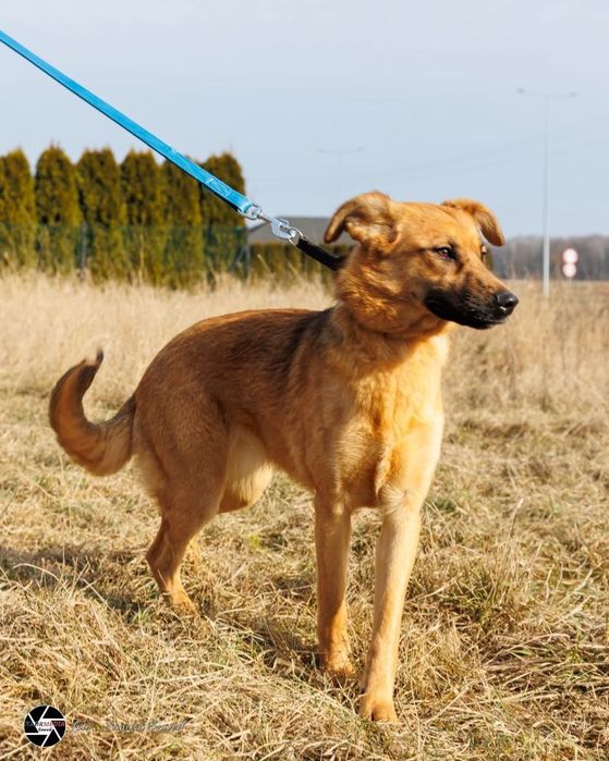 Pepsi szuka swojego Człowieka
