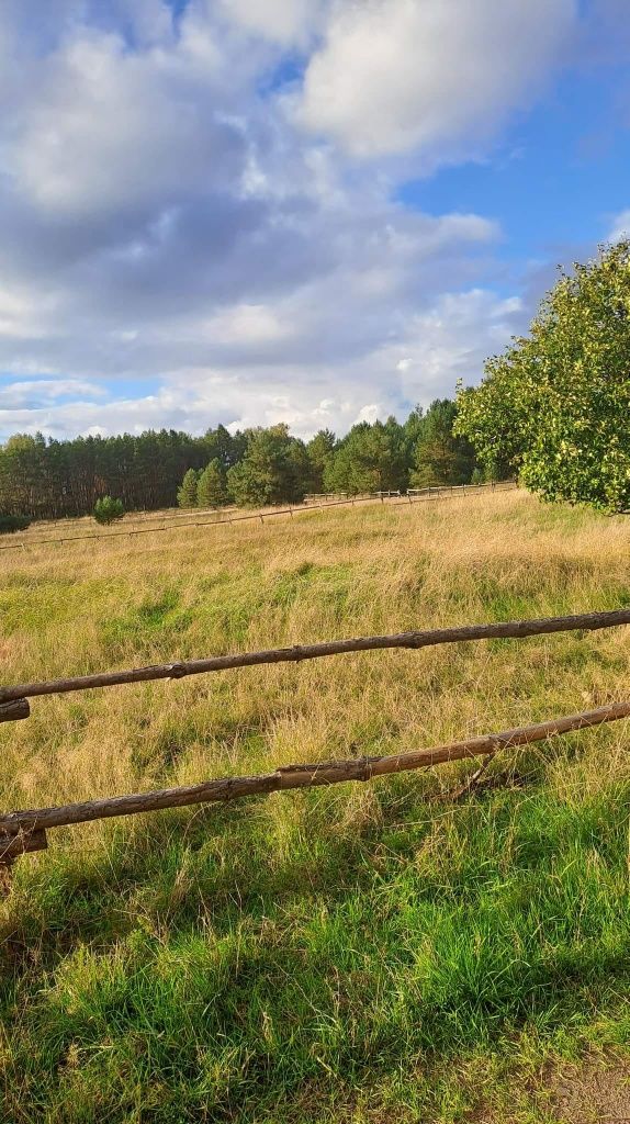 Działka budowlana w pobliżu jeziora i lasu - Rybakowo