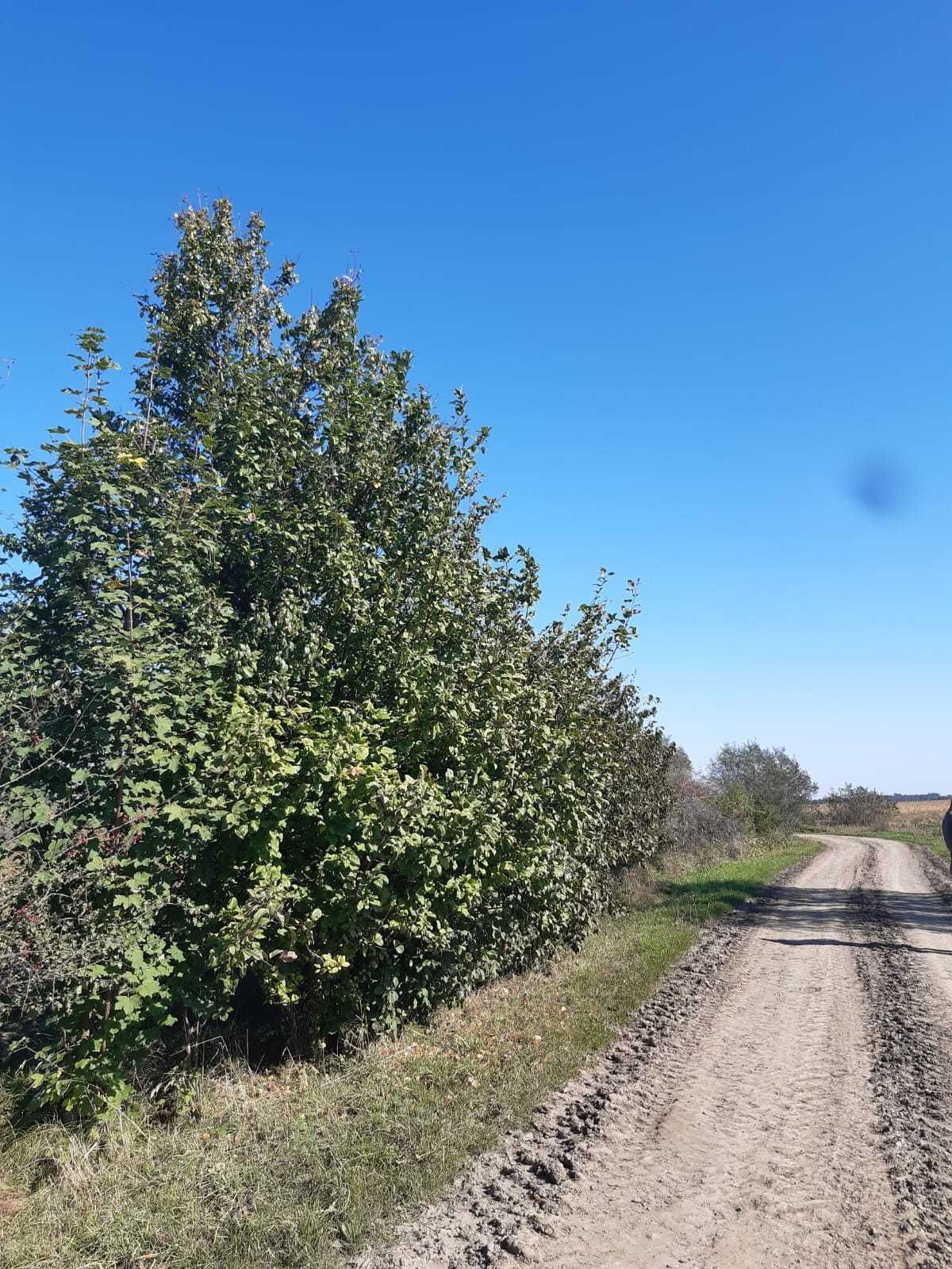 Sprzedam działkę