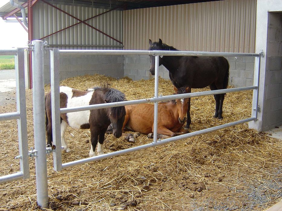 AGRITUBEL panel bramka do obory dla krów bydła