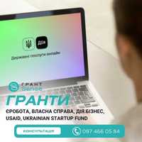 Гранти єРобота, Власна Справа, USAID - отримання під ключ