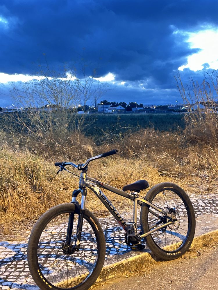 Bicicleta de grau
