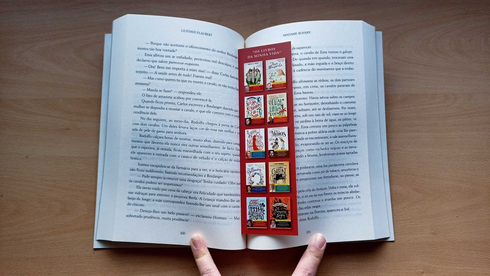 Livro "Madame Bovary" de Gustave Flaubert e prefácio de Clara F. Alves