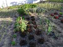 Manutenção de espaços exteriores; agricultura; jardins; hortas