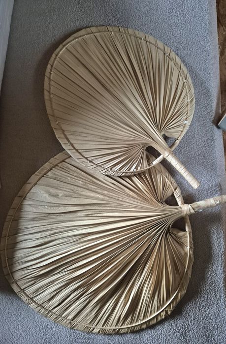 Suszony liście palmowy