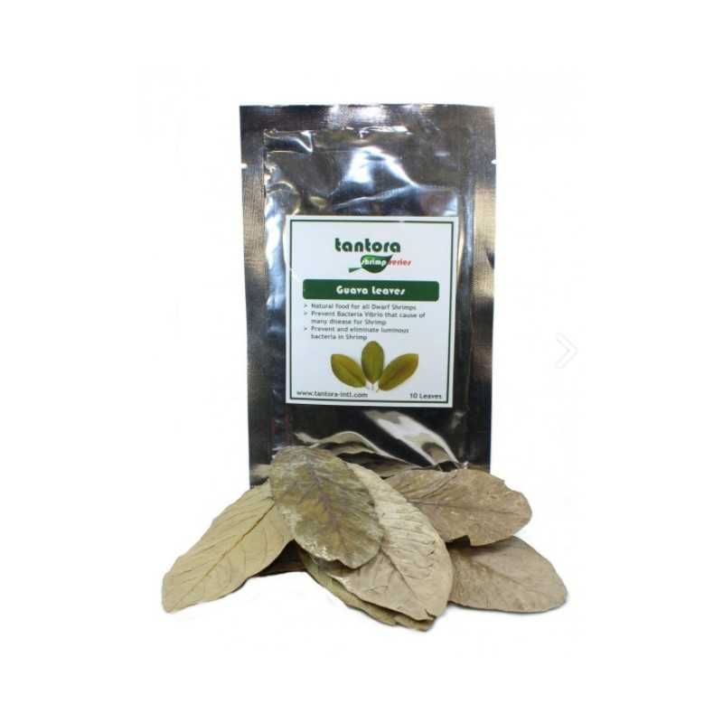 Suszone liscie guavy gujawy Tantora Guava Leaves 20 szt (2 opakowania)