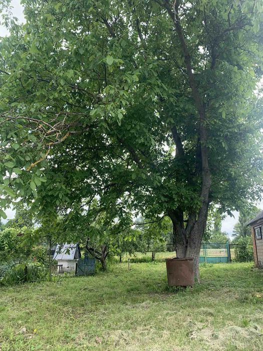 Будинок з усіма зручностями в Лемешівці