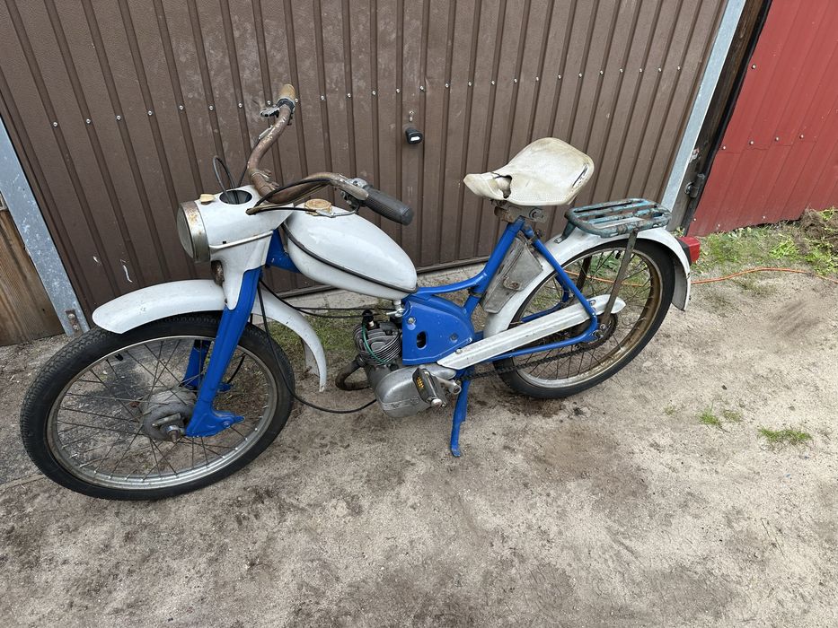 Komar sztywniak mr232
