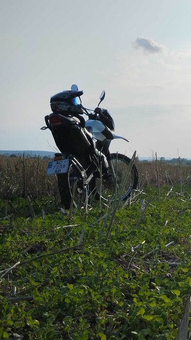 Shineray xy200gy-6c