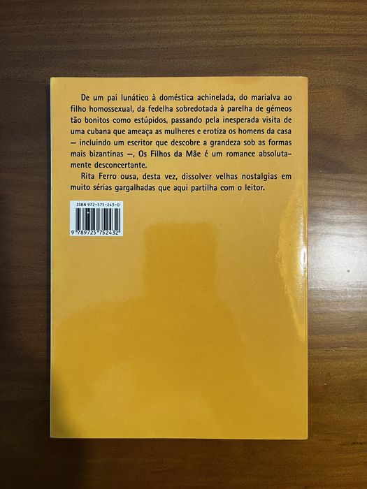 Livro Os Filhos da Mãe - Rita Ferro