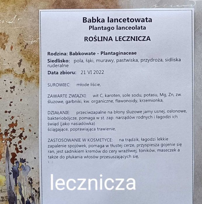 30 gat zielnik 2025 z opisami nienaklejony WRZESIEŃ