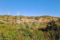 Terreno Rústico com Barragem, sito em Vinha Velha de Baixo, Barão de S