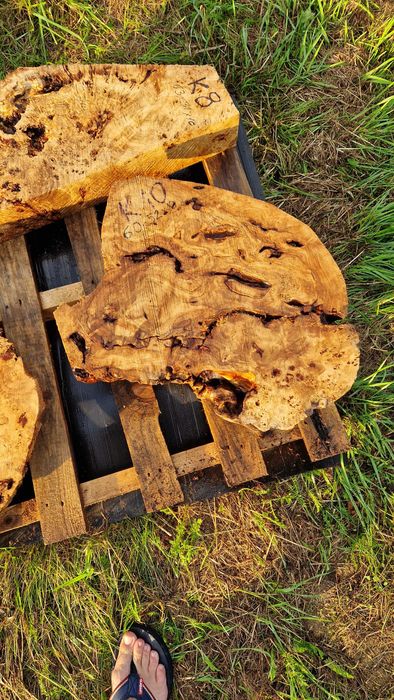 K10 54x32x4,5 czeczota monolit blat decha plaster żywica lite drzewo