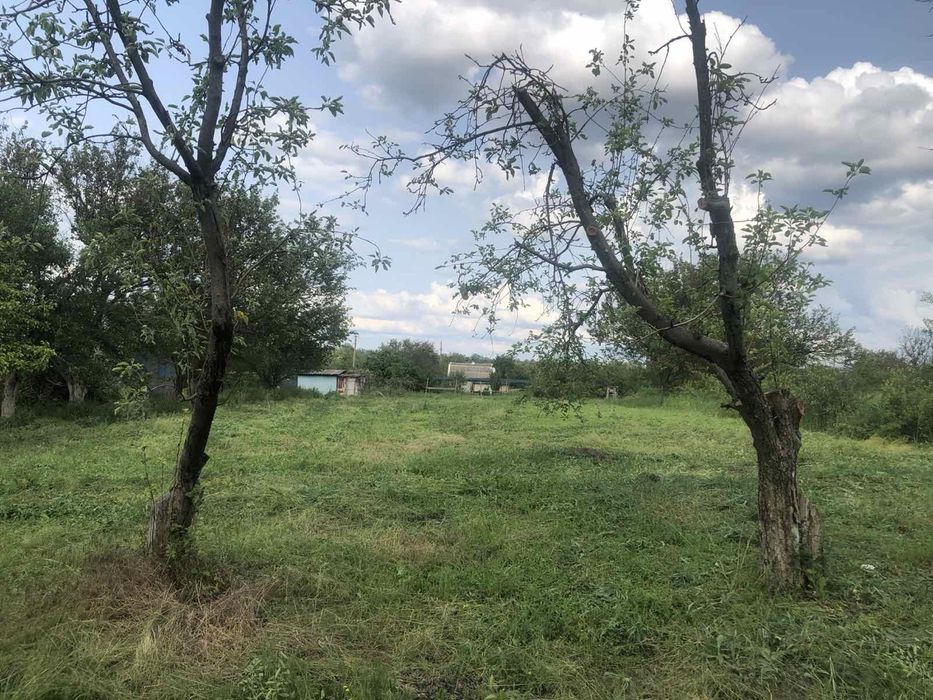 Продам дачу в Лозоватке.