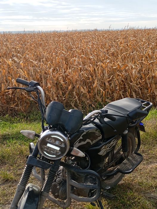 Мустанг фіт2 125