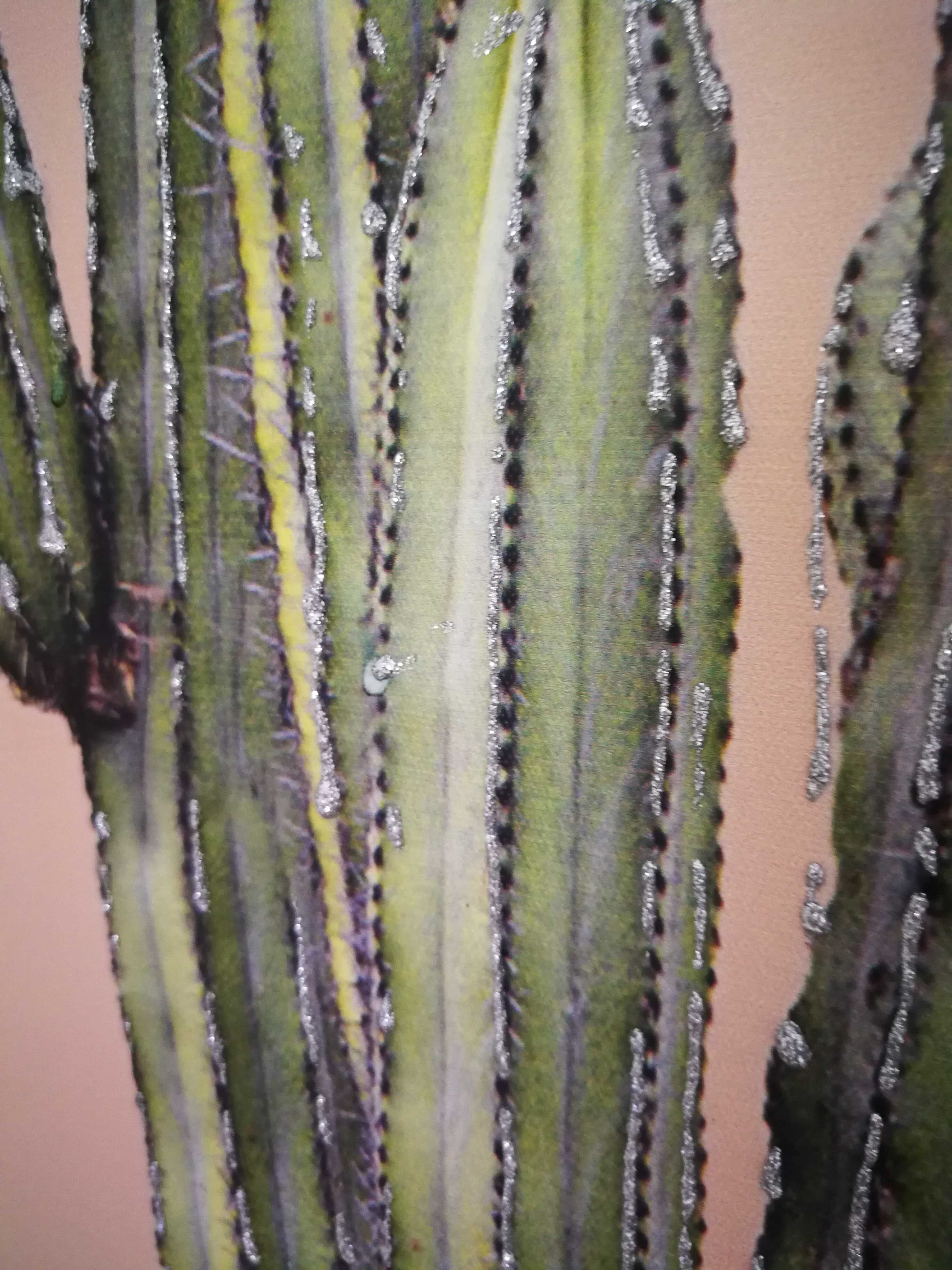 Tela decorativa cactus