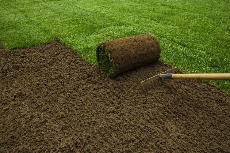 Sprzedaż ziemi przesiewanej oraz kory.Zakladanie ogrodów