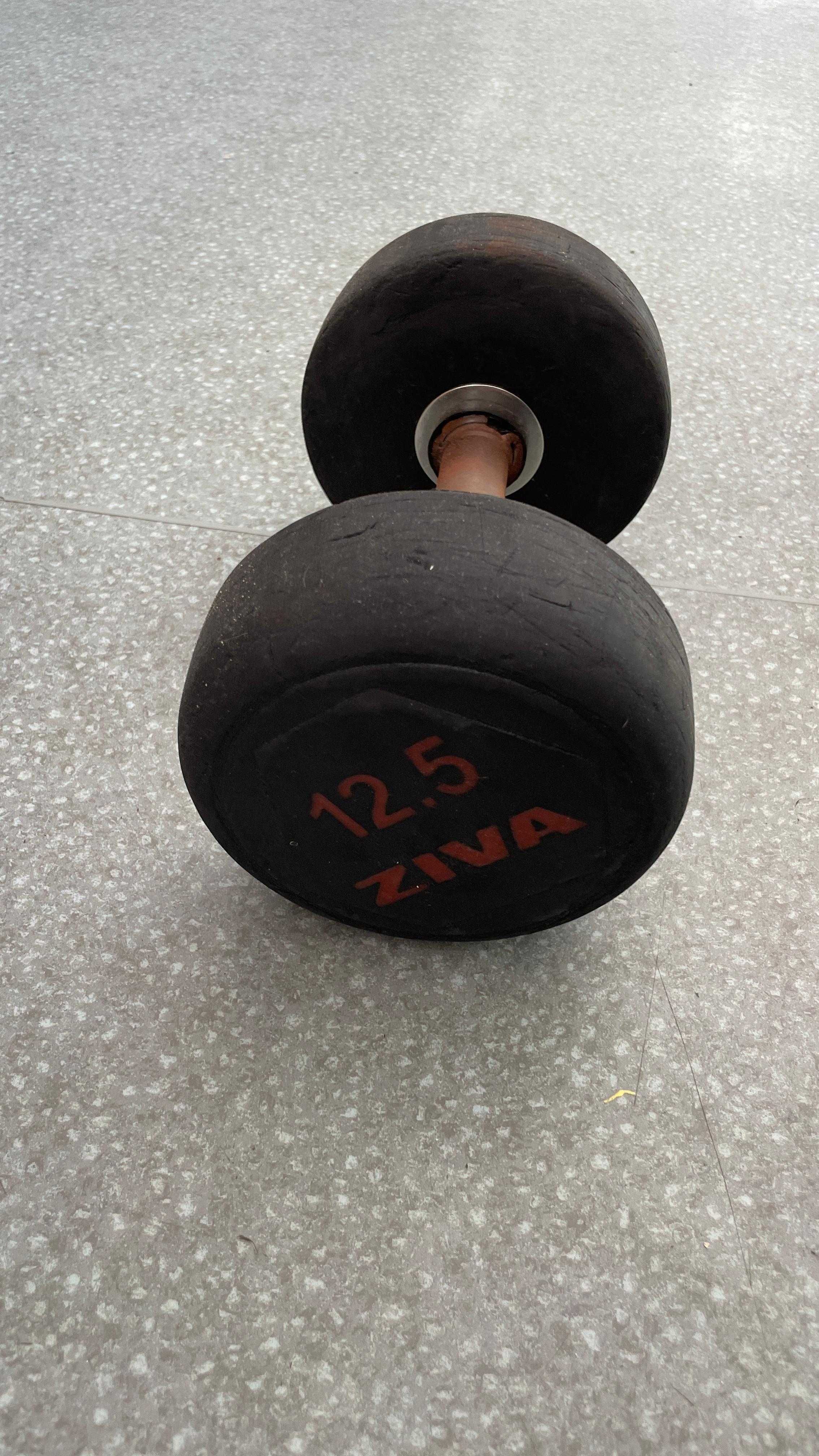 2x Halteres ZIVA, de 12,5kg