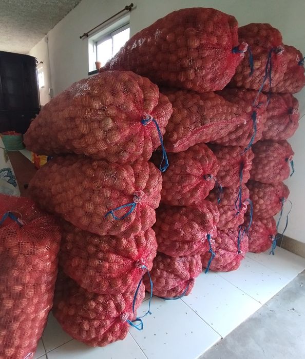Vendo nozes para animais a 0.30/ kg