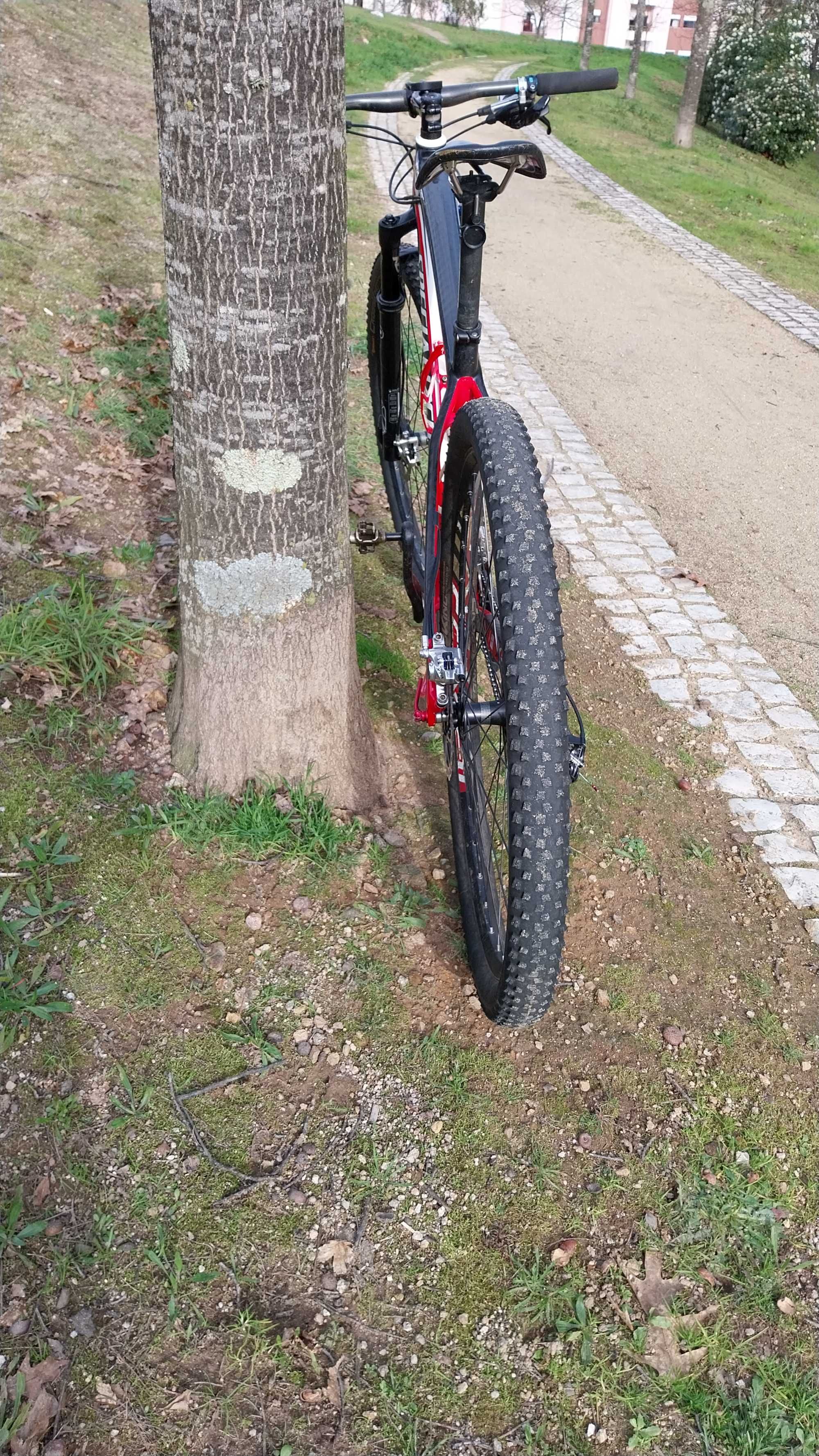 Specialized HT carbono 29