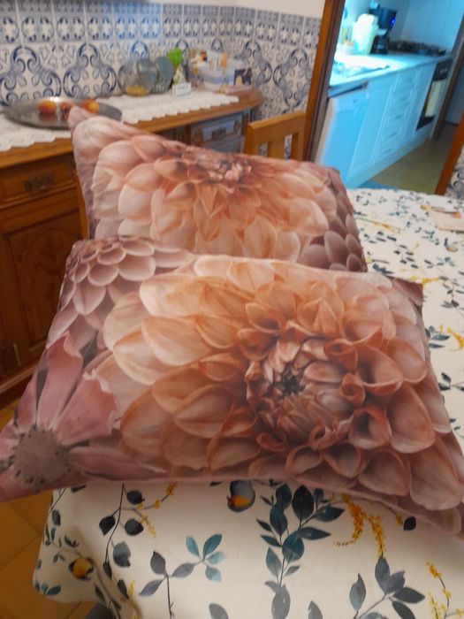 2 Almofadas decorativas rectangulares