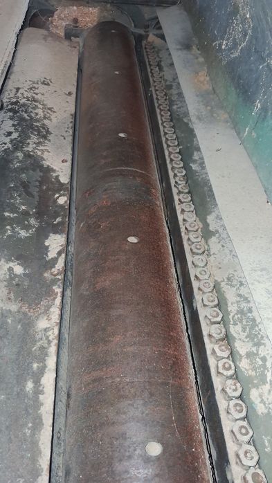 Grubościówka niemiecka 100cm