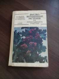 Високо-витаминние растения на приусадебном участке.