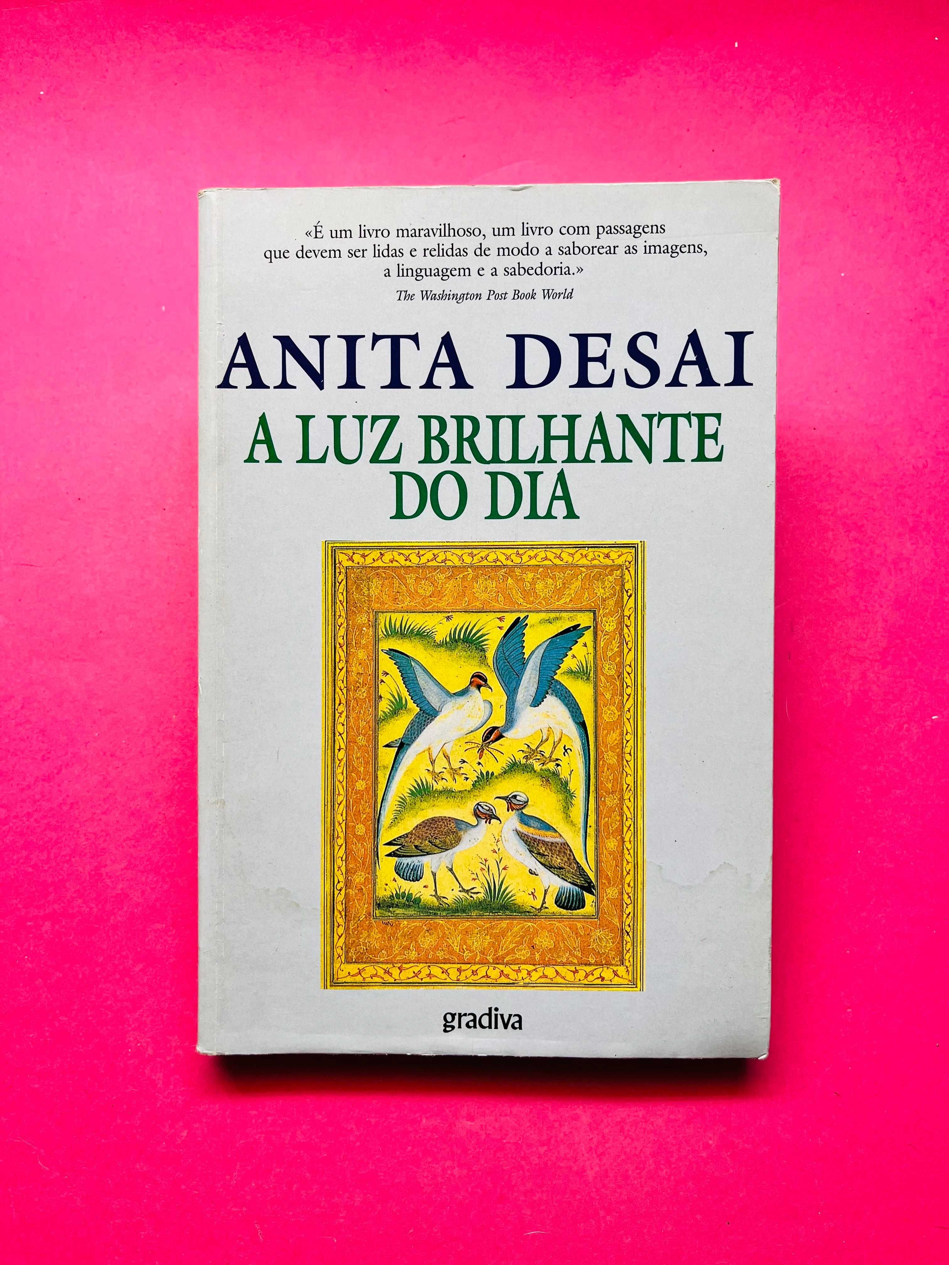 A Luz Brilhante do dia - Anita Desai
