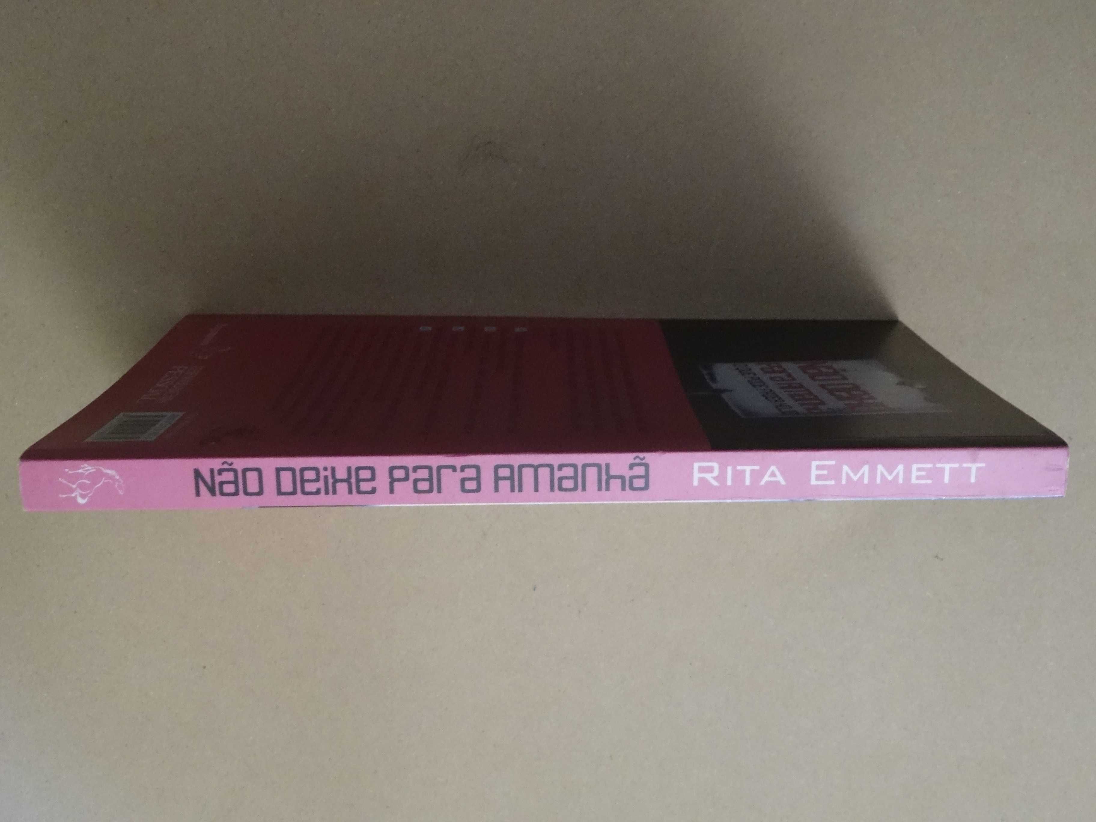 Não Deixe Para Amanhã o Que Pode Fazer Hoje de Rita Emmett - 1ª Edição