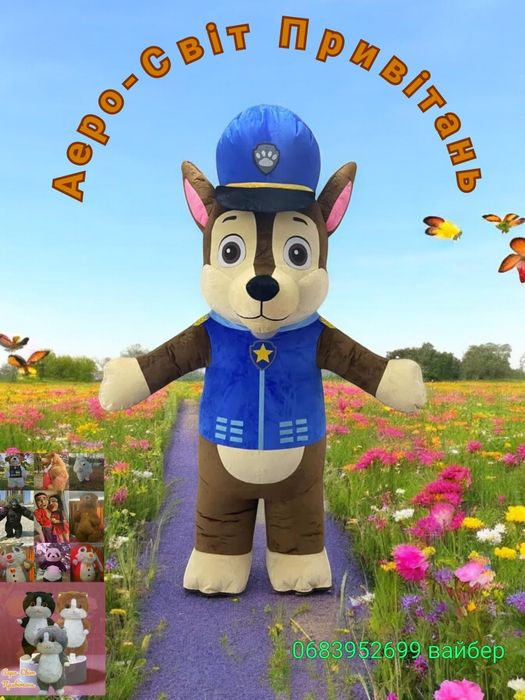 Привітання. Стебтиз. Аніматор. Замовити ведмедика.Поздравления. Заказа