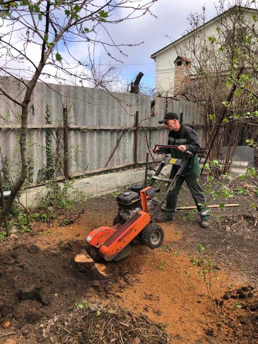 Обрезка деревьев любой сложности,автовышка,альпинисты,все аккуратно.