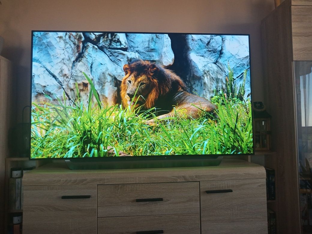 TV LG OLED 65CX 4K 120hz Premium TV