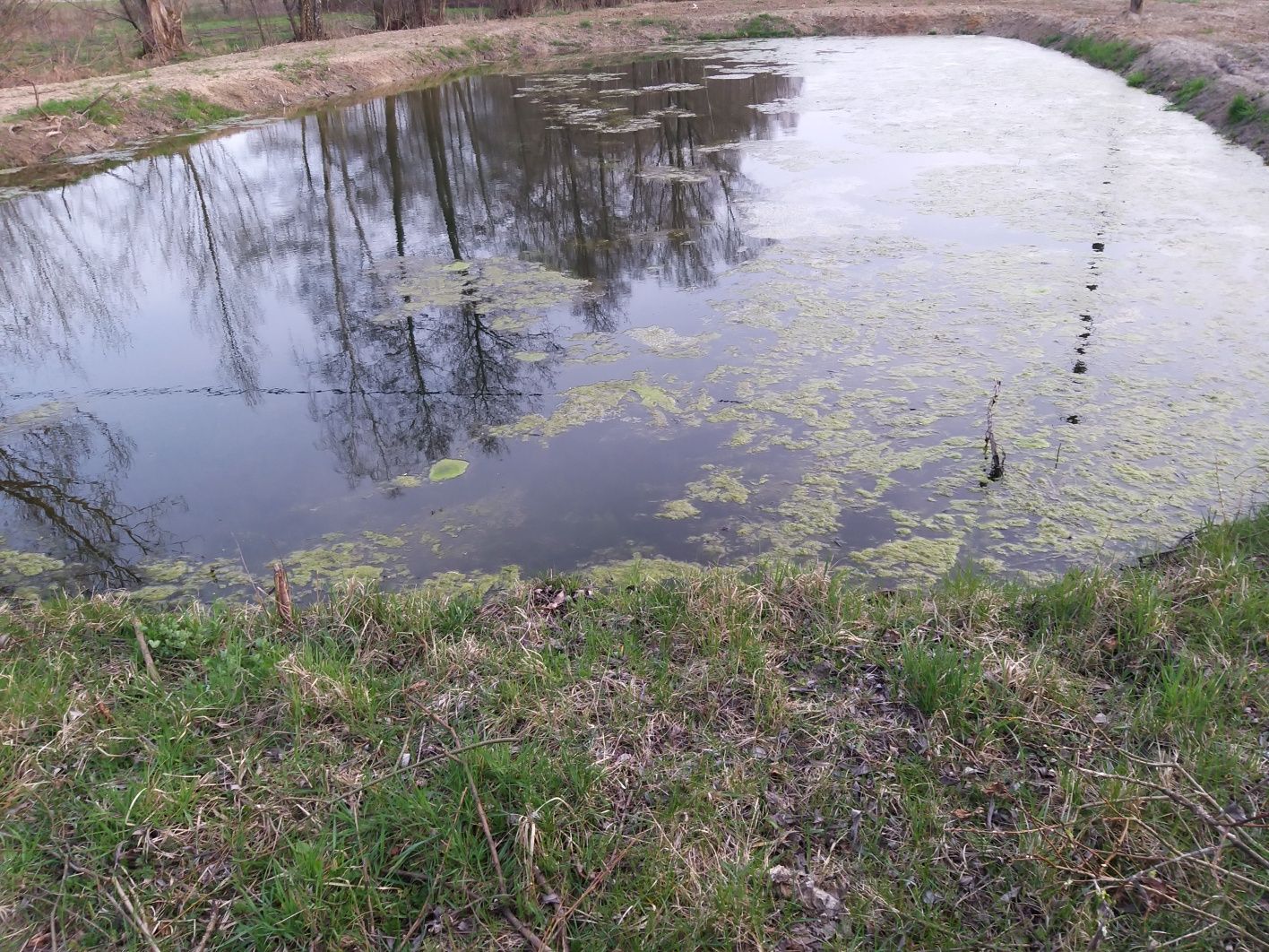 Domek wśród  zieleni  z   G o r  ą c ą  b a l i ą,   KOMINKIEM, JACUZZ