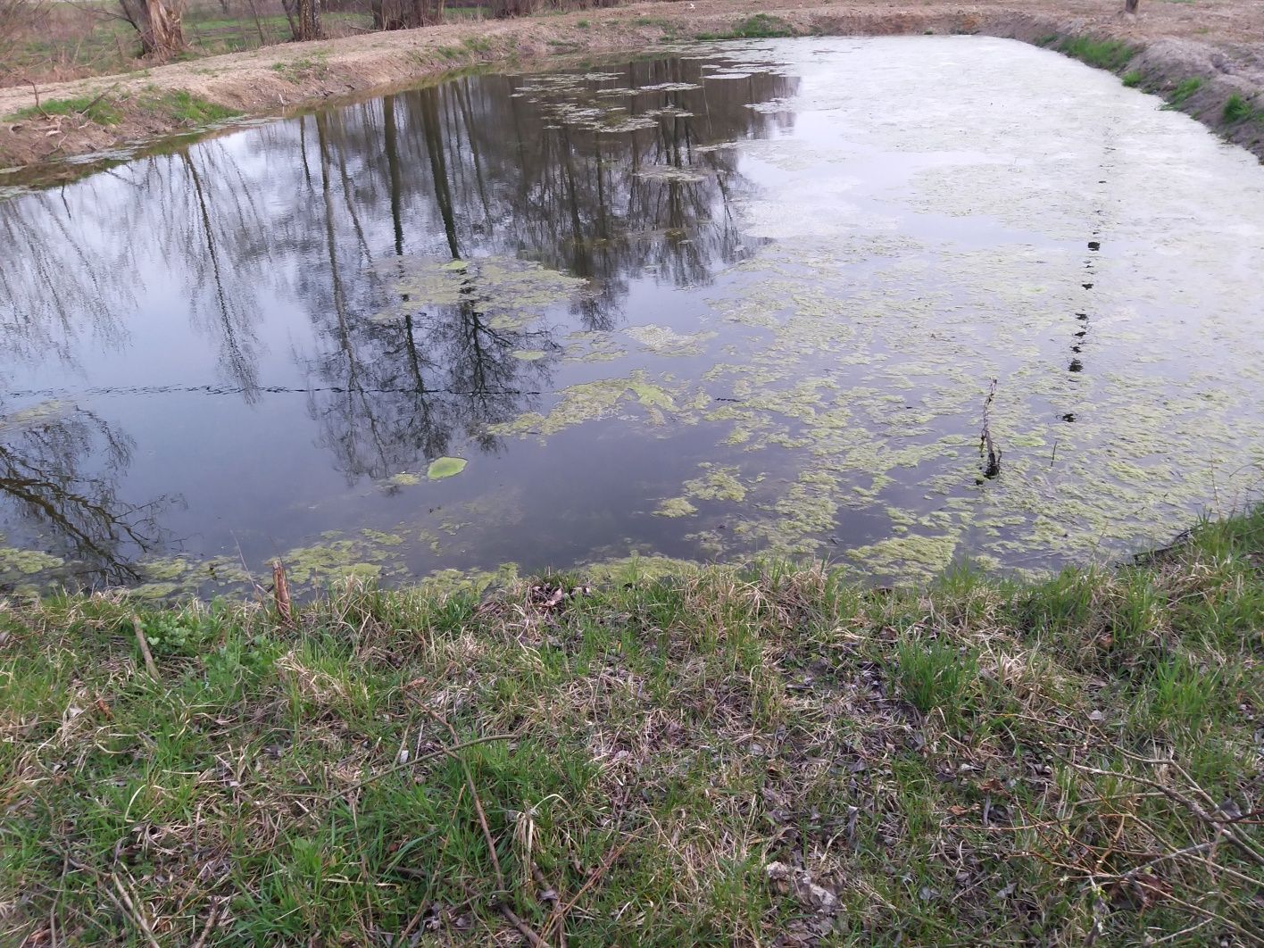 Domek wśród  zieleni  z  KOMINKIEM.