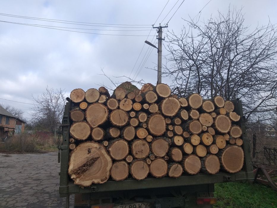 Дрова твердих порід