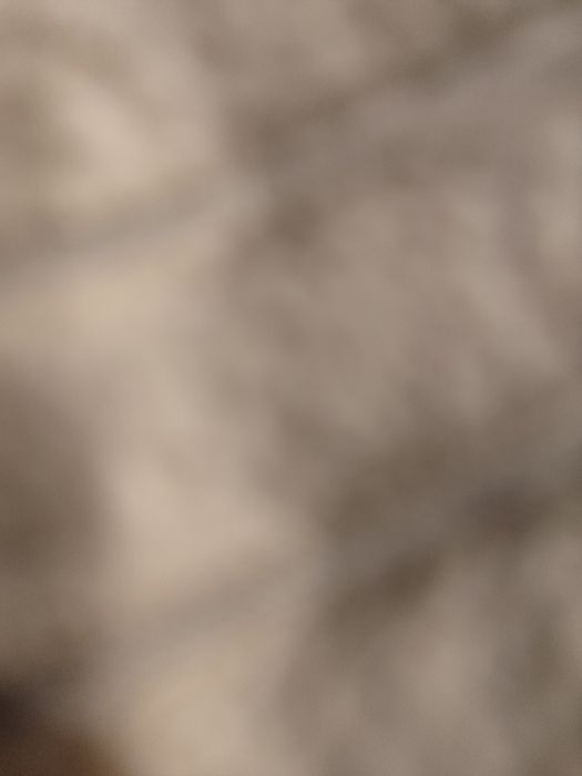 Відам щенят в добрі руки такси 2 мальчики