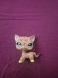 Lps pet shop shorthair