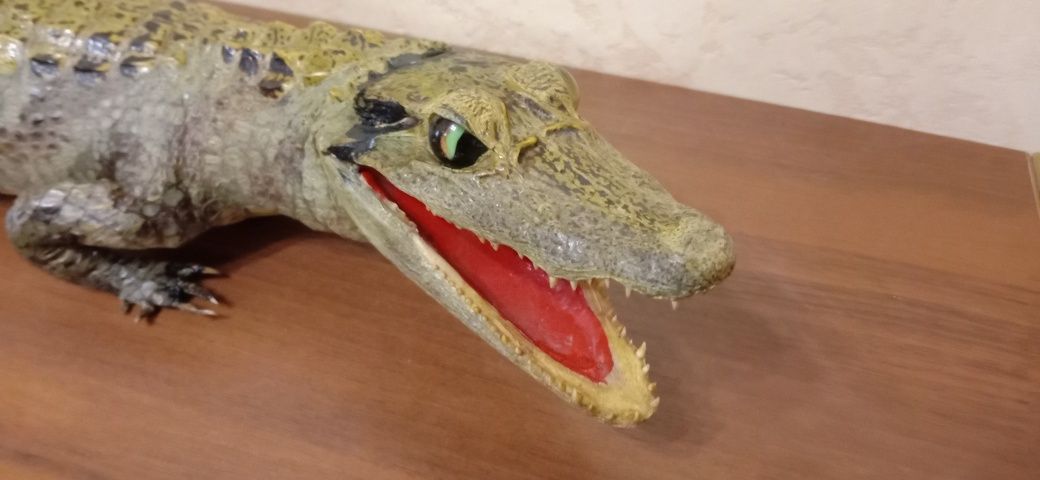Чучело Крокодила.